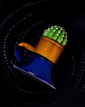Echinopsis subdenudata en cerámica