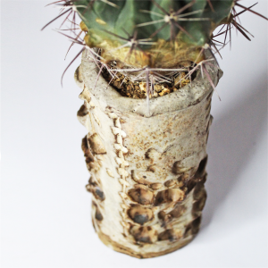 Ferocactus Stainesii en cerámica