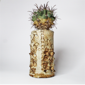 Ferocactus Stainesii en cerámica
