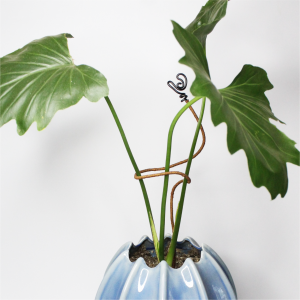 Set de Guías Flexibles para plantas