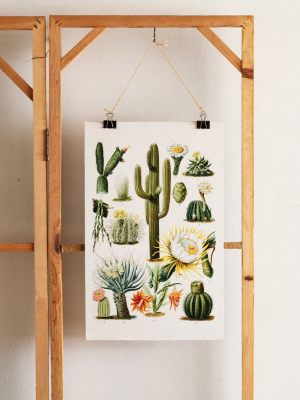 Afiche Cactus Vintage
