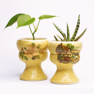 Hueveras decorativas