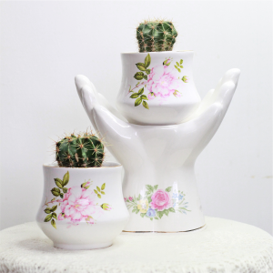 Set floral con cactus y portamacetero de cerámica