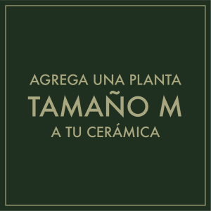 Agregar planta tamaño M