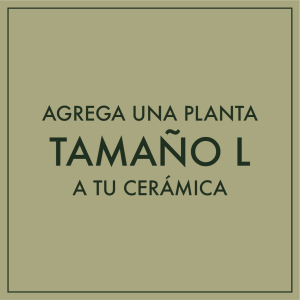 Agregar planta tamaño L