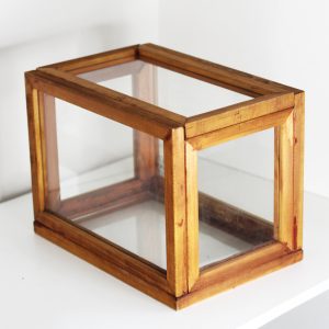 Terrario de marco de madera y vidrio para plantas