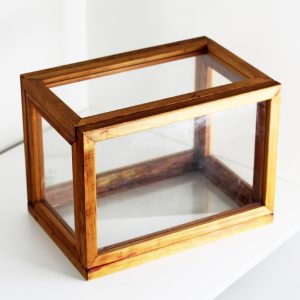 Terrario de marco de madera y vidrio para plantas
